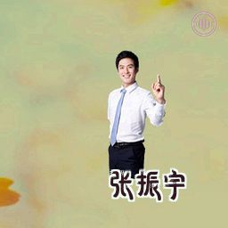 张振宇